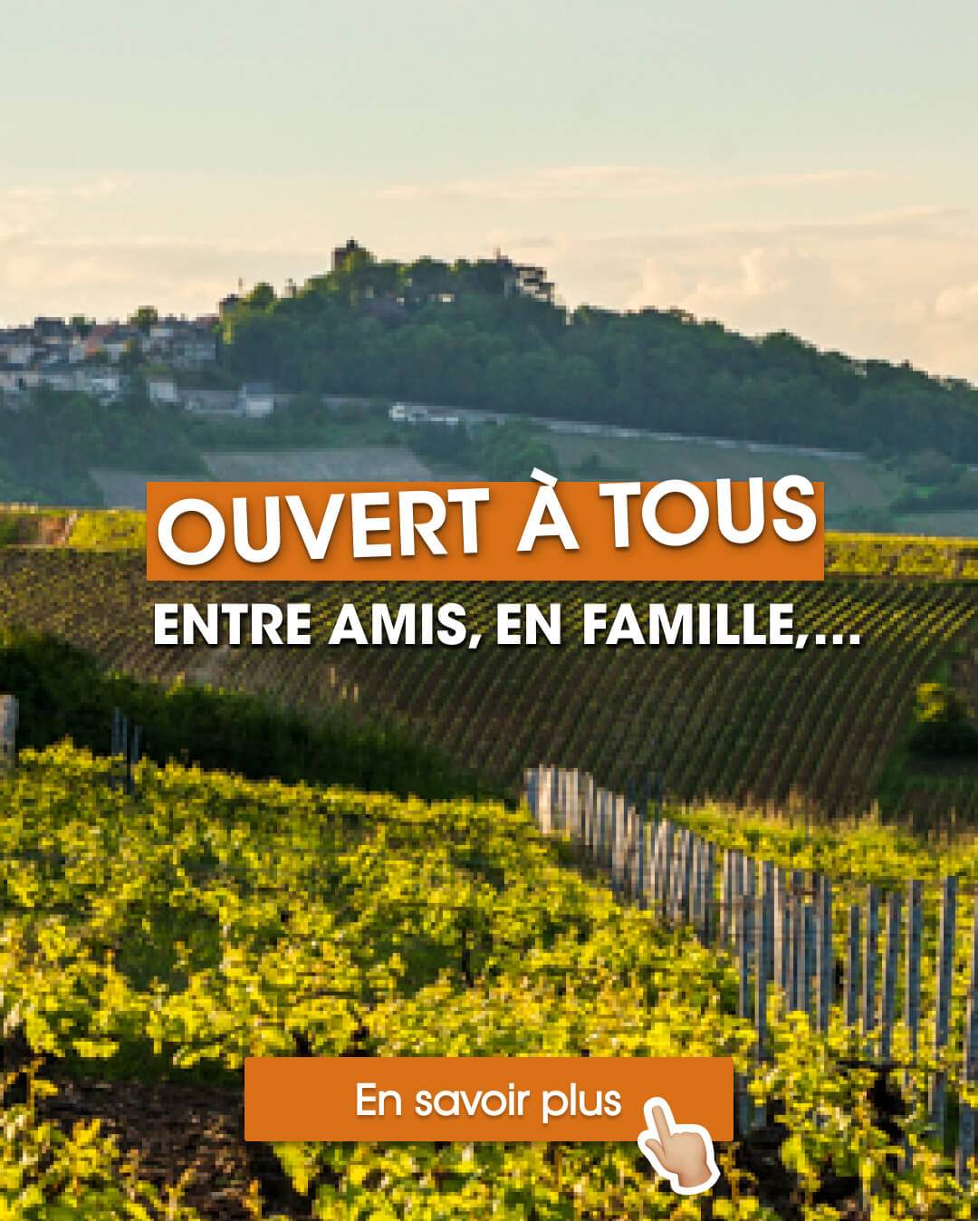 Vue en triptyque du vignoble et du piton de Sancerre, partie centrale. Cliquez sur l'image pour en savoir plus sur le Wine Gaming ouvert à tous, à Sancerre, chez notre ami Raphaël, vinothécaire chez VUE sur Vignes. Venez relever le défi du meilleur escape game oenoludique de la région pour découvrir le monde de façon ludique et décomplexée.