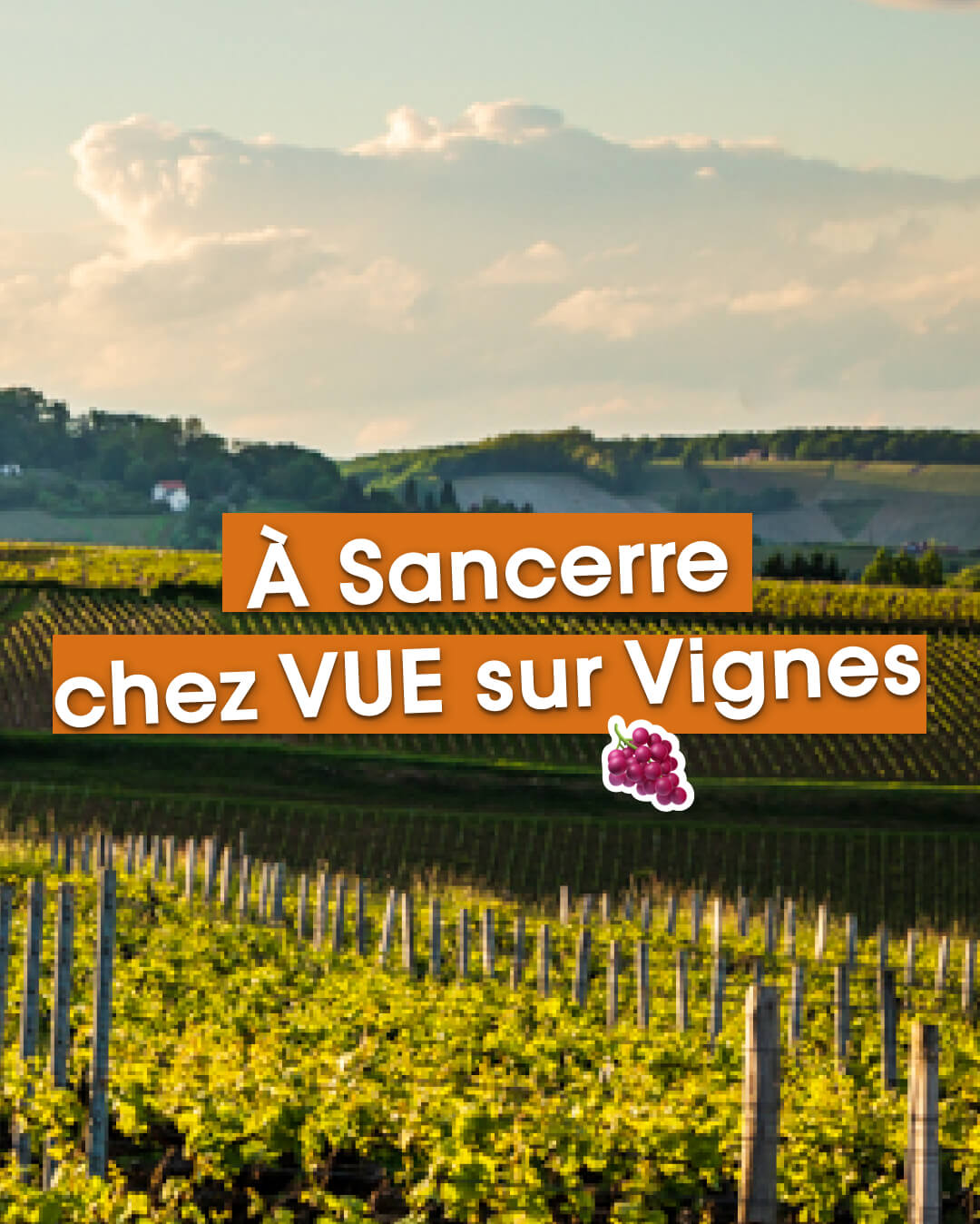 Vue en triptyque du vignoble et du piton de Sancerre, partie droite. Cliquez sur l'image pour en savoir plus sur le Wine Gaming ouvert à tous, à Sancerre, chez notre ami Raphaël, vinothécaire chez VUE sur Vignes. Venez relever le défi du meilleur escape game oenoludique de la région pour découvrir le monde de façon ludique et décomplexée.