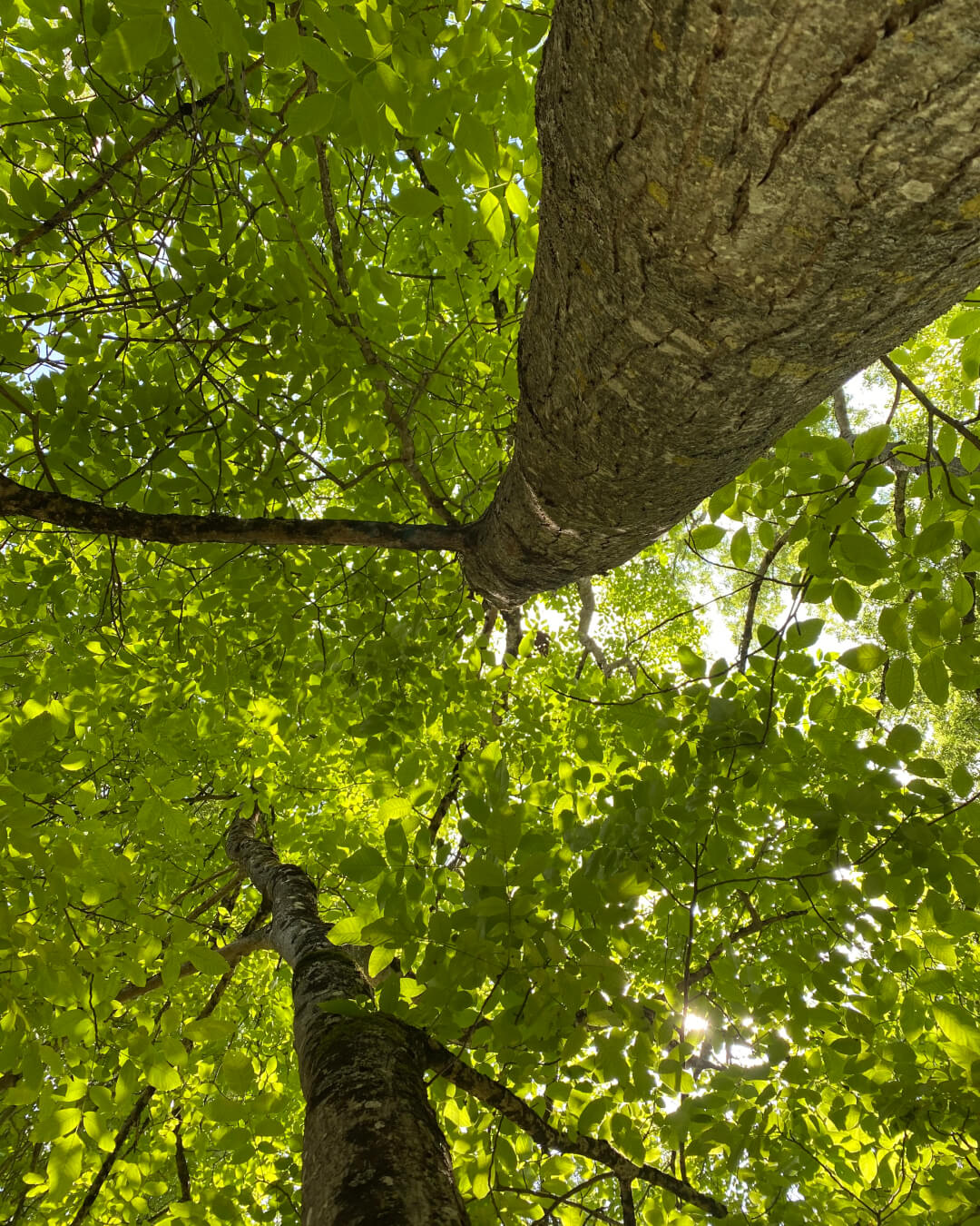 Le patrimoine naturel riche du département du Cher fait partie des découvertes de l'Enquête Cherlock.