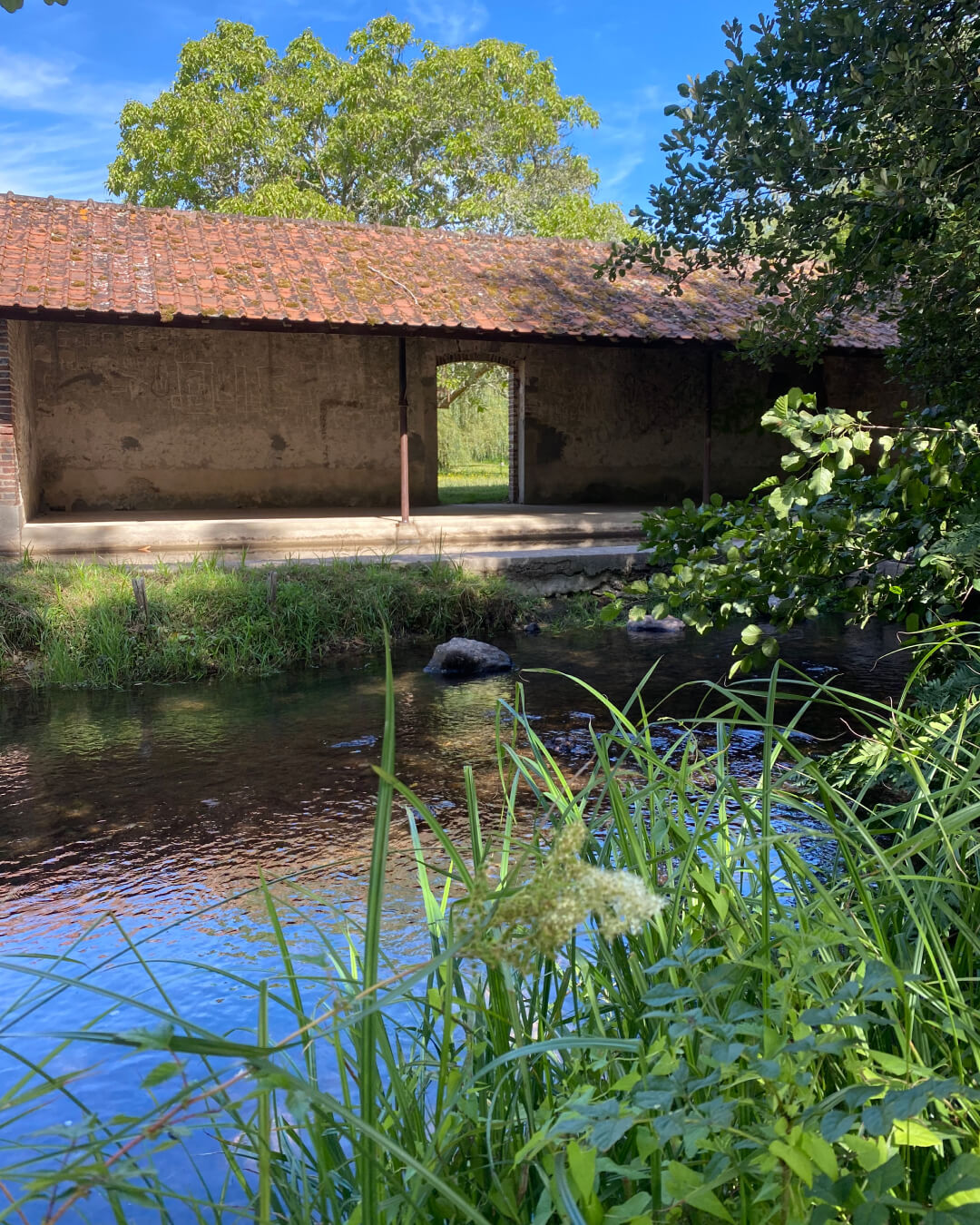 Les jolis recoins oubliés du patrimoine des villages du département du Cher comme des charmants lavoirs abandonnés.