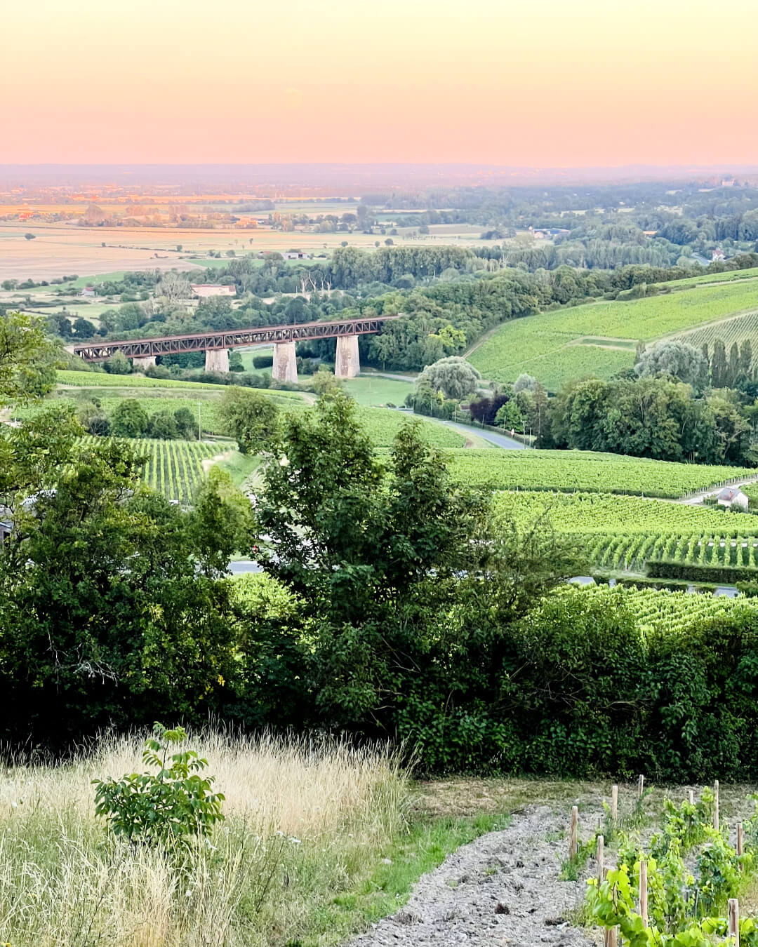 Vue de Sancerre, la vallée de la Loire et le viaduc ferroviaire.