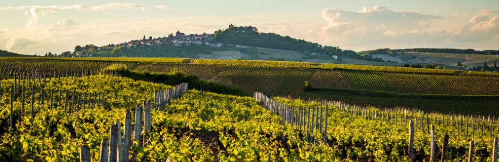 Vue de Sancerre par Pierre Mérat ...