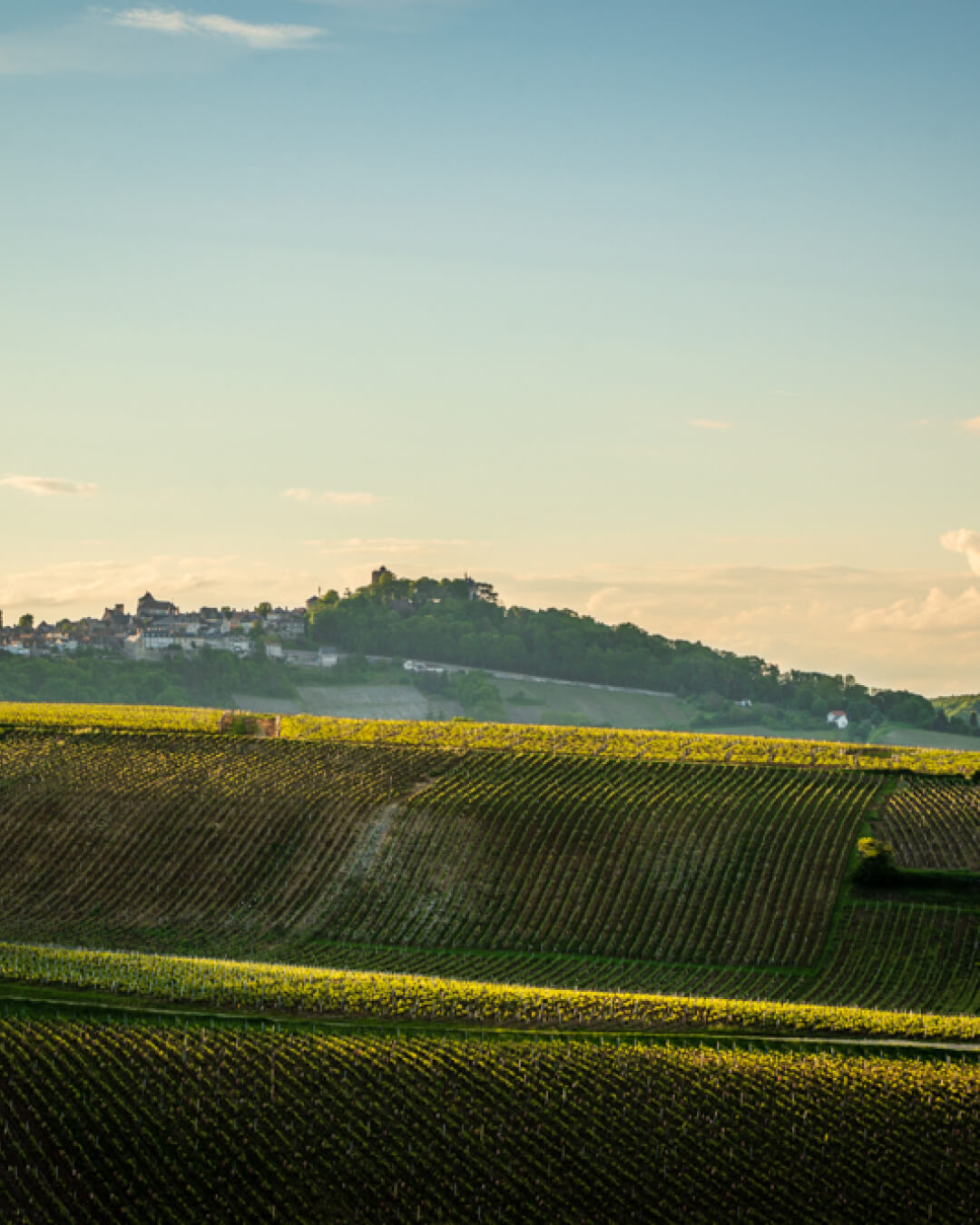 Photo Pierre Mérat : vue de Sancerre